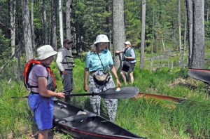 Arethusa Bog Expedition