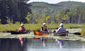 Arethusa Bog Expedition